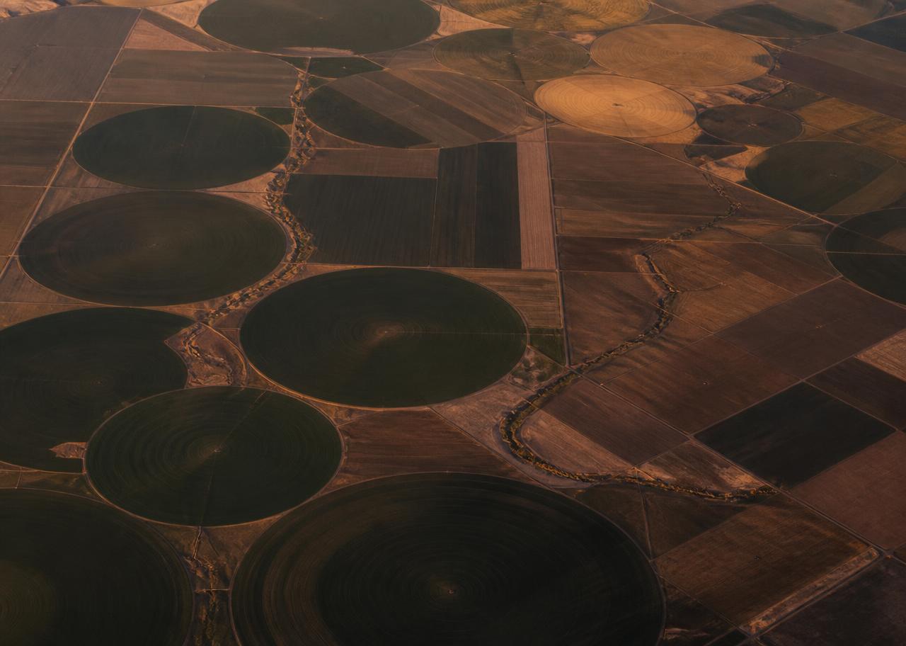 Agriculture & Food Systems